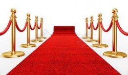 红地毯,星光熠熠的时尚盛宴
