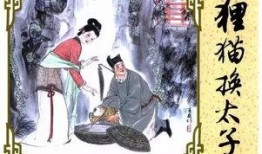 狸猫焉能换太子,宫廷秘闻背后的权谋与爱恨