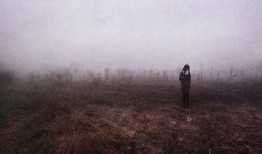 苍白天空,苍白天空下的沉思与启示