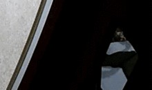 阴影中的真相,探寻隐藏在表象之下的真实世界