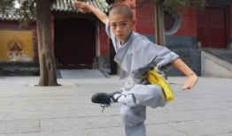 少林小子方世玉,武林传奇，少年英雄的成长之路