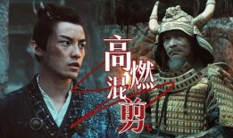 洗冤录之西夏铁棺,洗冤录中的神秘传奇