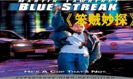 笨贼妙探,一场啼笑皆非的破案之旅