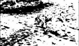 阴影中的真相,探寻隐藏在表象之下的真实世界