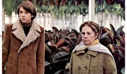 哈洛与慕德,探寻情感与科技的交融之旅