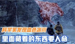 血色研究站,揭秘神秘生物与未知科技的神秘世界