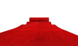 红地毯,星光熠熠的时尚盛宴