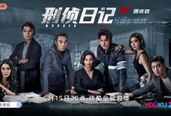 刑侦日记,揭秘罪案背后的真相与人性