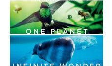 地球：神奇的一天,24小时奇迹之旅