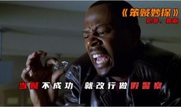 笨贼妙探,一场啼笑皆非的破案之旅