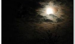 一样的月光,心灵相通的浪漫之旅