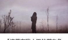 苍白天空,苍白天空下的沉思与启示