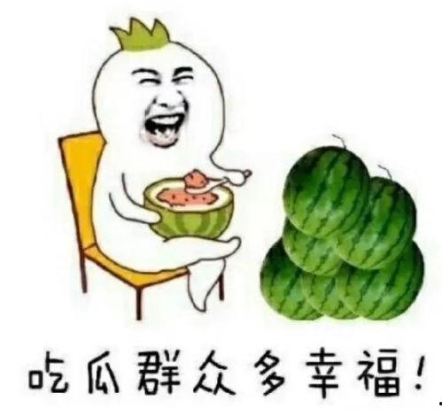 娱乐吃瓜场地,这里是明星八卦的聚集地